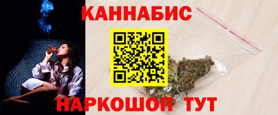 индика Лесосибирск