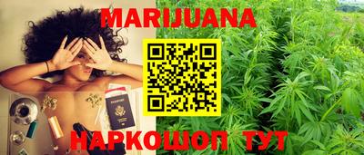 индика Лесосибирск