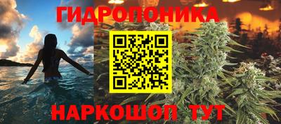 индика Лесосибирск