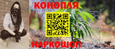 индика Лесосибирск
